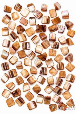 Rechteckige Perlmuttperlen - 10 x 7 mm - braun-beige